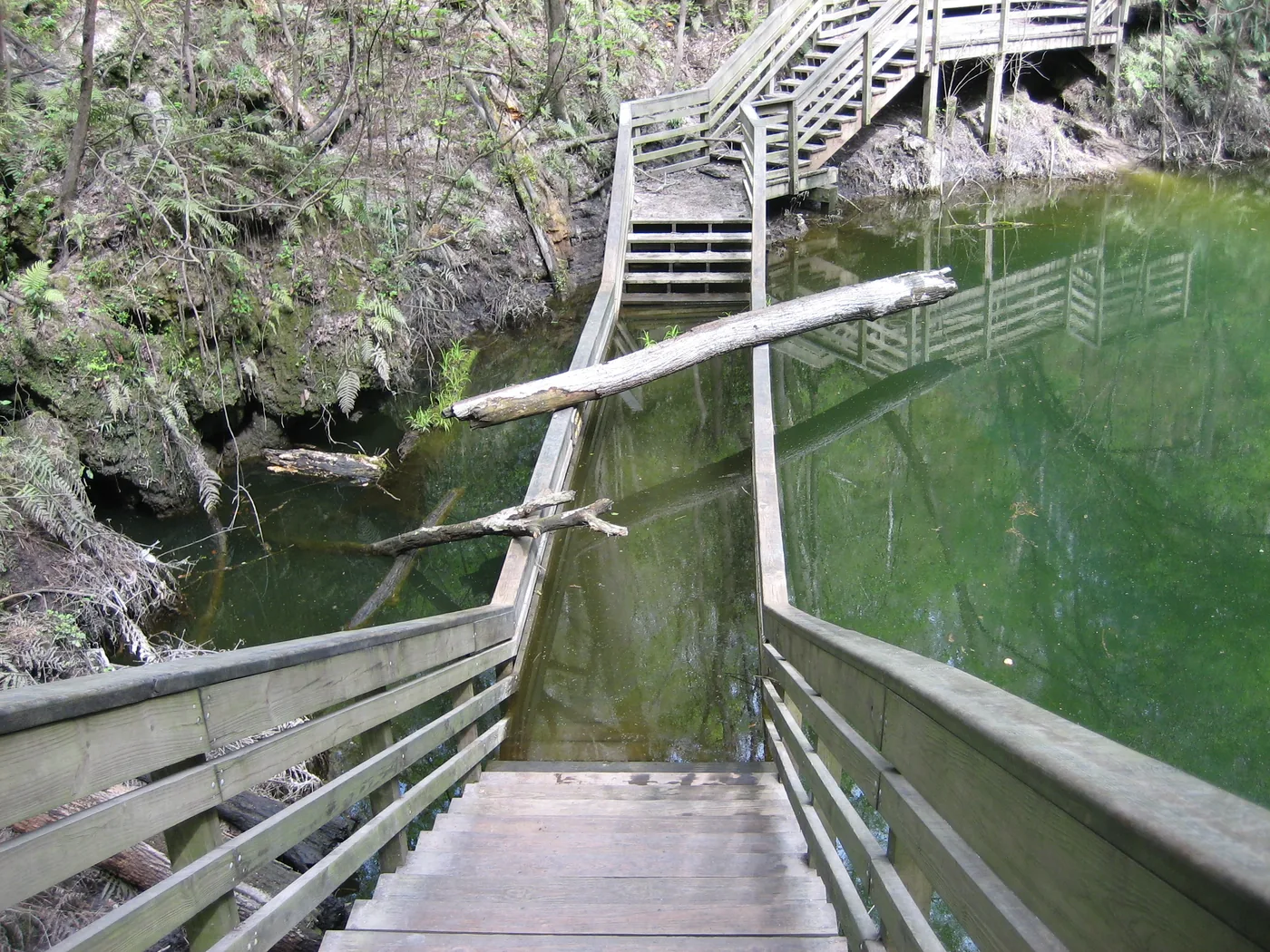 Devil’s Millhopper